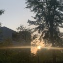 프레스티지음악학원 이미지