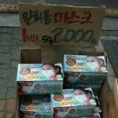 경희우정한의원 네이버블로그
