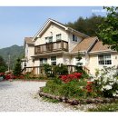 예솔누리 이미지