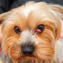 다산동물병원 이미지