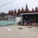 더스터닝4 이미지