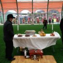 영동그라운드골프 돔구장 이미지