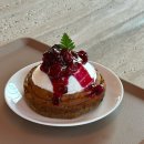 울산 언양 대형카페 베이글 맛집 시하온