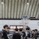 프로발리볼센터 이미지