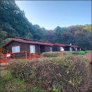 하늘짚펜션 | 서울 근교 단체 여행지 추천! 짜릿한 짚코스터 &amp; 힐링 숙박까지 가능한 딱따구리수련원 후기