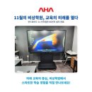 11월의비상