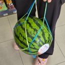 지에스(GS)25홍천터미널 이미지