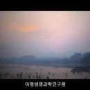 유진젓갈상회