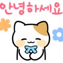 장보고 정육식당 이미지