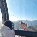 스노위랜드 눈썰매장 강원도 여행 대명리조트 비발디파크 방문후기