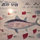우리동네참치정육점안양