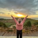 워시캠프 | 제주도 1인 숙소 추천 플레이스캠프 제주 네 번 다녀온 솔직 후기