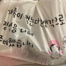 고기듬뿍국물두루치기본오점 | 안산 본오동맛집 유튜버 살빼조 픽 고기듬뿍국물두루치기 본오점 배달후기 !