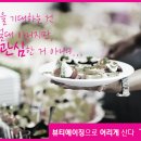티아라성형외과 네이버블로그