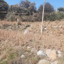 대지부동산중개인사무소 이미지