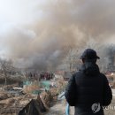 강남-258 이미지