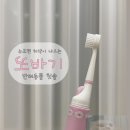 주식회사 또바기 - 시흥시 | 고양이칫솔 :: [또바기] 누르면 치약이 나오는 반려동물 칫솔(고양이 양치 후기)