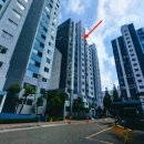 임학약국 이미지