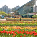 고양꽃전시관 컨퍼런스룸 이미지