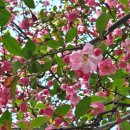 중탑 어린이공원 이미지