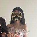W14. 웨촬헤어변형이라니요? | 헤어변형 아벨르 강추 후기! | 헤어 무제한 변형을 이렇게나 빠르고...