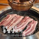 금왕정육