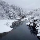 탱스땡스 Daum카페