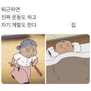 웅이네견과 | 첫눈이 내린..❄️❄️ 백수의 11월 일기 2편
