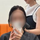 라비채