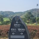 속초 설악썬밸리cc 코스 후기