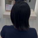 와이샵헤어 | 미용실 추천｜단발 테슬컷ㅣ헤어 유목민 정착한 1인샵, 비헤어 후기, 주차, 와이페이, 할인, 가격 정보