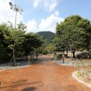 천동오토캠핑장(상) 이미지