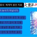 제이씨(JC) 이미지
