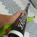 젠스톰 Daum카페