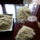 호원농장 이미지