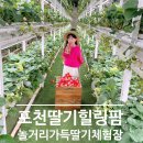 (주)힐링팜 | 포천딸기힐링팜 솔직 후기 / 딸기체험가격 . 놀거리