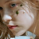 메이듀(MAYDEW) 네이버블로그