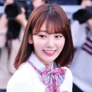 사쿠라