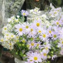 광주021 | WB 웩슬러 브레인센터 광주 문해력 메이킹프렌즈 1주차