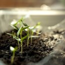 손해평가사 1차 이미지