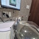 상서재로 | 여섯 마리 고양이 엄마로 산다는건.. (털투성이 하루, 행복투성이 마음, 이불 속 여섯 심장 )