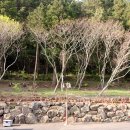 알밤오름하우스 이미지