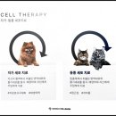 두카메디컬센터 이미지