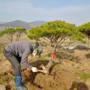 소나무 철물점 이미지