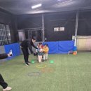 포항유소년축구클럽