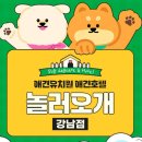 놀러오개 애견유치원 애견호텔 강남점 이미지