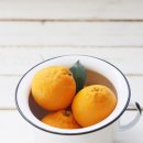 미우농장 이미지