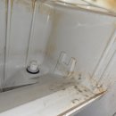 글로리약품 | [강릉 제빙기청소] 강릉 업소용 아이스트로 제빙기 청소 다녀온 후기