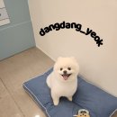 두리미용실 이미지