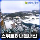 안녕김녕씨b | 웰리힐리리조트, 스위트B 객실 컨디션 특가 가격비교 내돈내산